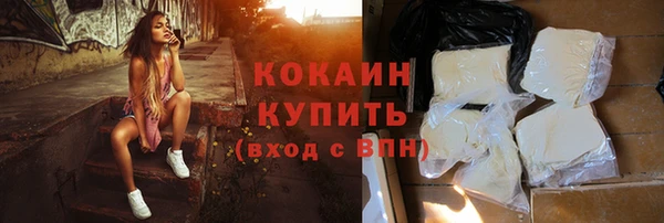 сатива Каменногорск