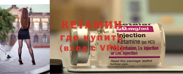 сатива Каменногорск