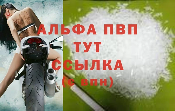 прущие грибы Инсар